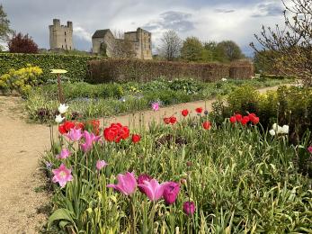Good visual contrast on garden path surrounded by colourful flower borders and Helmsley Castle in background.