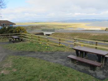 Picnic area tables with space for wheelchairs