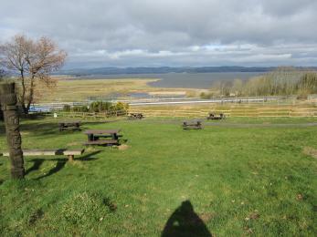 View of Loch Leven from picnic area