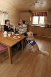 assistance dogs welcome 