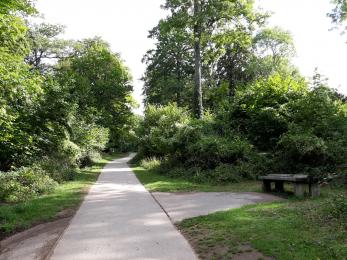 Access path from lower car park to main site.