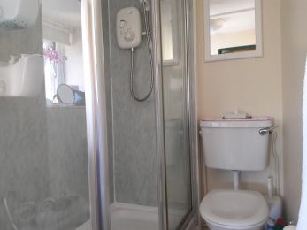 Step-in shower and toilet