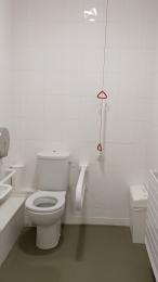 Toilet with handrails and alarm pullcord