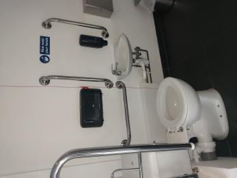 Toilet, handrails, sink and dryer. 