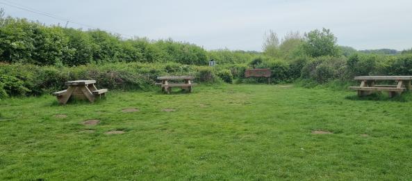 The picnic area, with benches