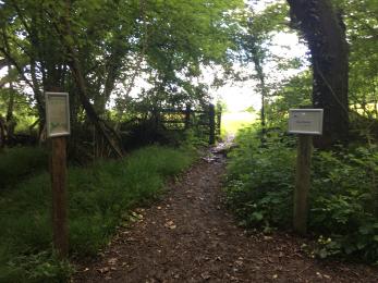 Entrance of junction with Meadow Trail and start of public footpath. Dirt path loose surface. Trees either side.