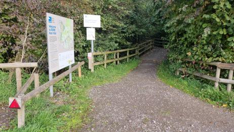 Boardwalk access to start of Ham Wall Loop (or Shapwick Heath NNR) from car park