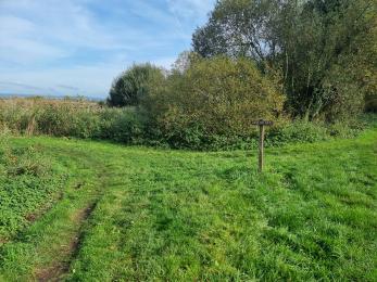 Grass path turning for Avalon Hide
