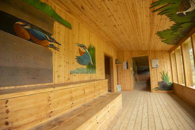 The family viewing area in the Kingfisher Viewing Hub, with tiered seating and paned windows