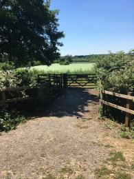 Second access point to Loxton's Marsh trail