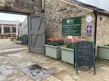Entrance to Helmsley Walled Garden with plant containers full of tulips.