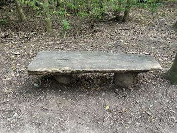 Rustic bench type on the Captain Wood trail