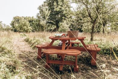Picnic table in the orchard