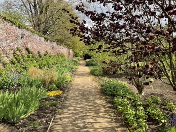 Pathway in Helmsley Walled Garden with colourful flower borders.