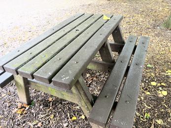 Picnic bench type in the Cabin area