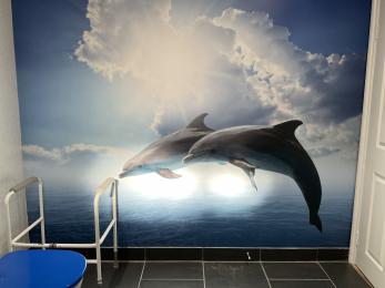 Feature wall in accessible bathroom showing two dolphins leaping out of the ocean.