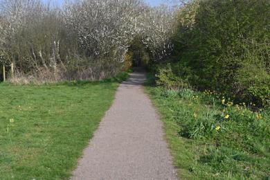 Centre to South Bank trail path through Garden