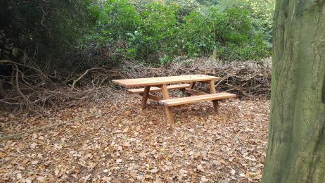 Accessible picnic benches in Discovery area