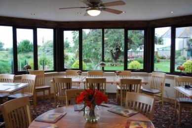 Overview of Dining Room (furniture can be moved if need be).