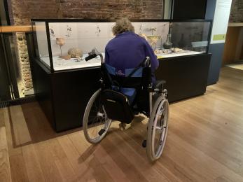 Wheelchair users in Whitby Abbey Museum looking at items in a glass display cases at a wheelchair accessible height.