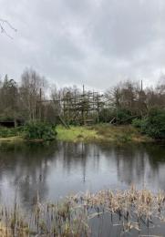 Chimp island surrounded by Lilly pond