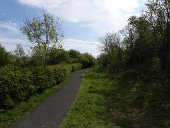 Path from visitor centre to top hide