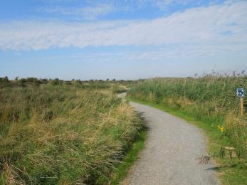 An example of hard pathway at Rainham Marshes