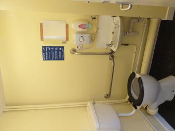 View of inside the Disabled Toilet showing toilet, handrails/wash hand basin