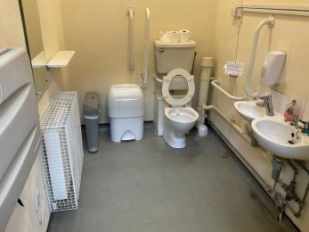 Platform accessible toilet