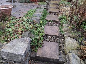 Steps up to terrace level of the garden.