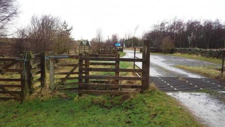 Kissing gate and cattle grid at the Trail start
