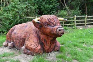 Tactile Highland Cow Sculpture at Waleswood Caravan and Camping Park 