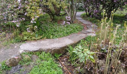 Another path with a small stone footbridge over a ditch.