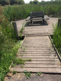 Wooden Pond Platform part way around Easy Access Trail. Access is 109 cm at the narrowest part. 