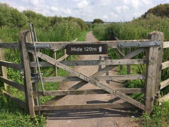 One of the gates crossing the drove on the Easy Access Trail with trombone latch. 