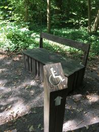 Wooden bench with a back and no arms at the start of the path to the Heronry Hide. 