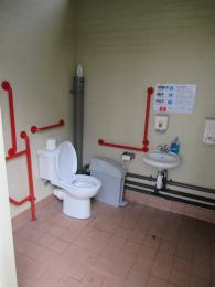 Accessible Toilet, Museum Courtyard Toilets
