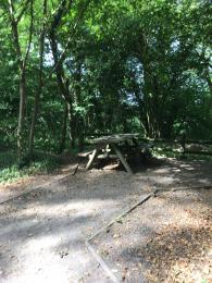 Wooden picnic bench at end of  compact dirt path with loose surface litter. Trees in the background.