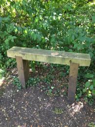 Wooden bench with no back or arms on Scarp Trail