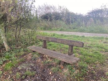 Bench close to the Badger Sett hide