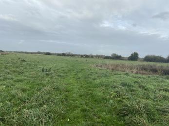 Grassy footpath across field