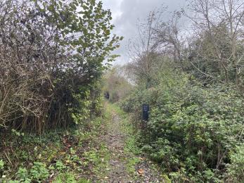 Narrow path leading to the Barbara Handley hide
