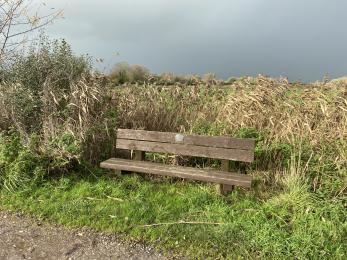 Bench on the main track, not far from the crossroad