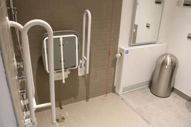 Showing the 'wet room' shower area, with fold-able shower seat and hand rails