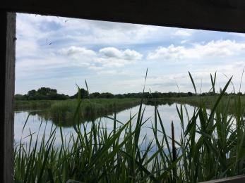 Example view from one Tor View Hide window
