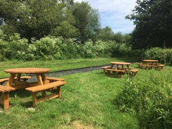 Picnic area on the Reedbed Trail