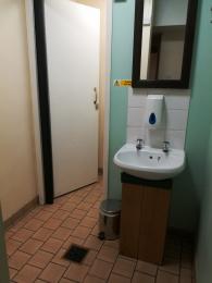 Interior of public toilet, with sink and mirror, plus separate toilet cubicle (same in both toilets).