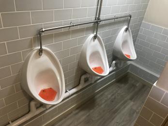 Male Toilet Urinals