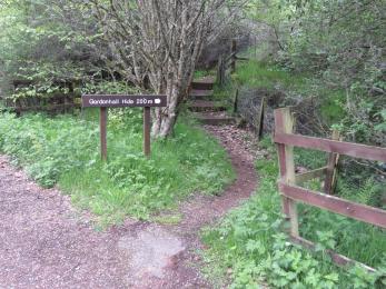 Path towards Gordonhall hide 1