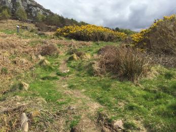 Hill track that forms the remainder of the Achtercairn Archaeology Trail.